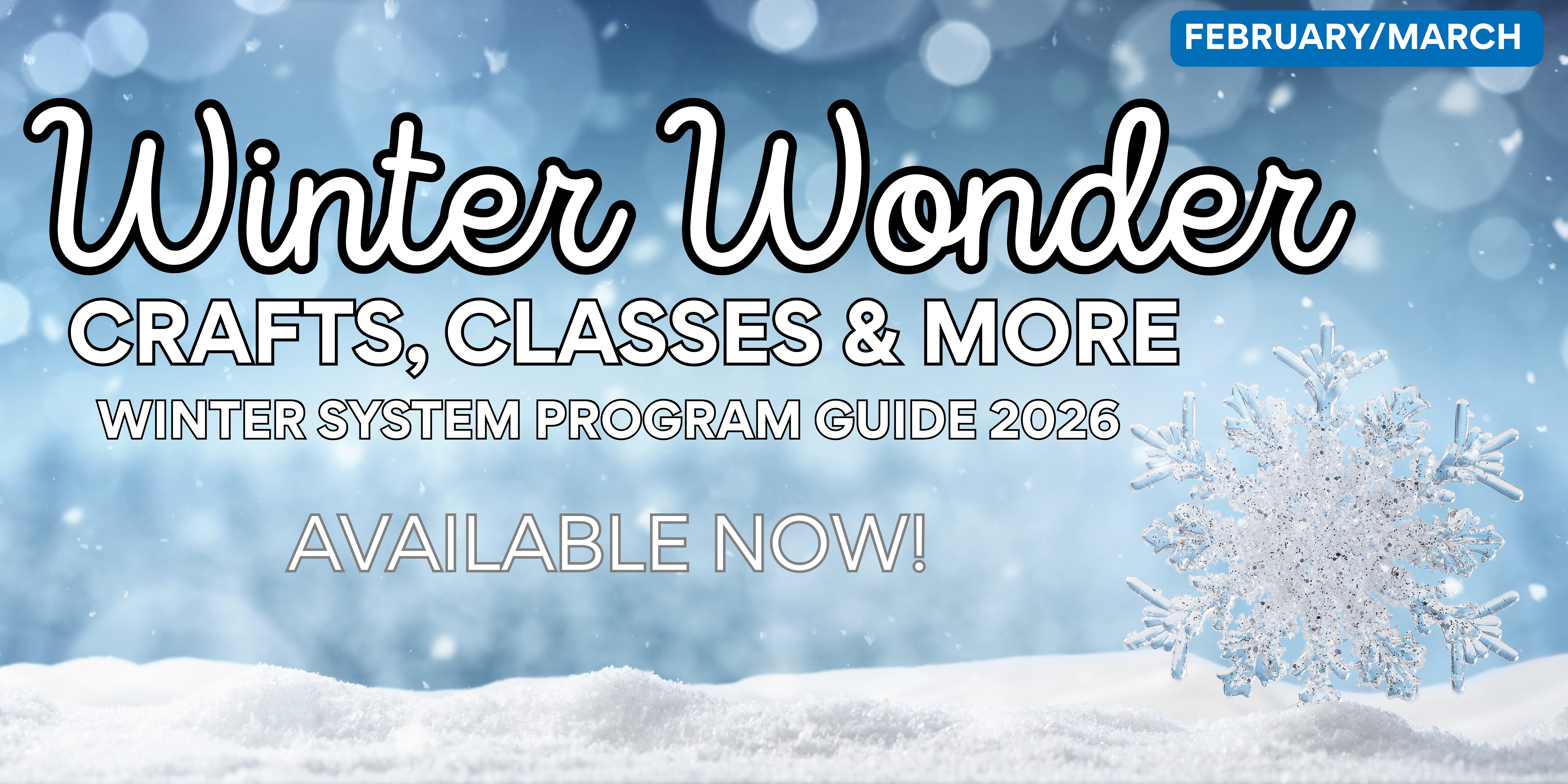 Winter Wonderland. Crafts, classes and more. Winter system program guide 2026 available now.